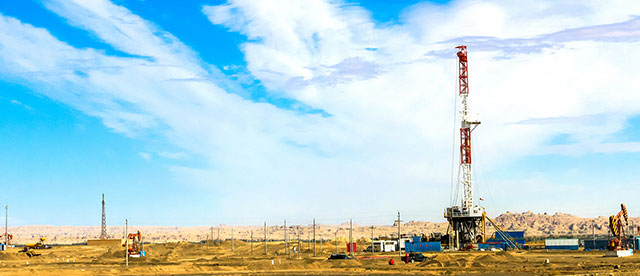 威馬産品 移(yi)動端