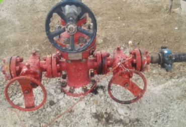 1569029952861307.jpg 圖(tú)片3.jpg